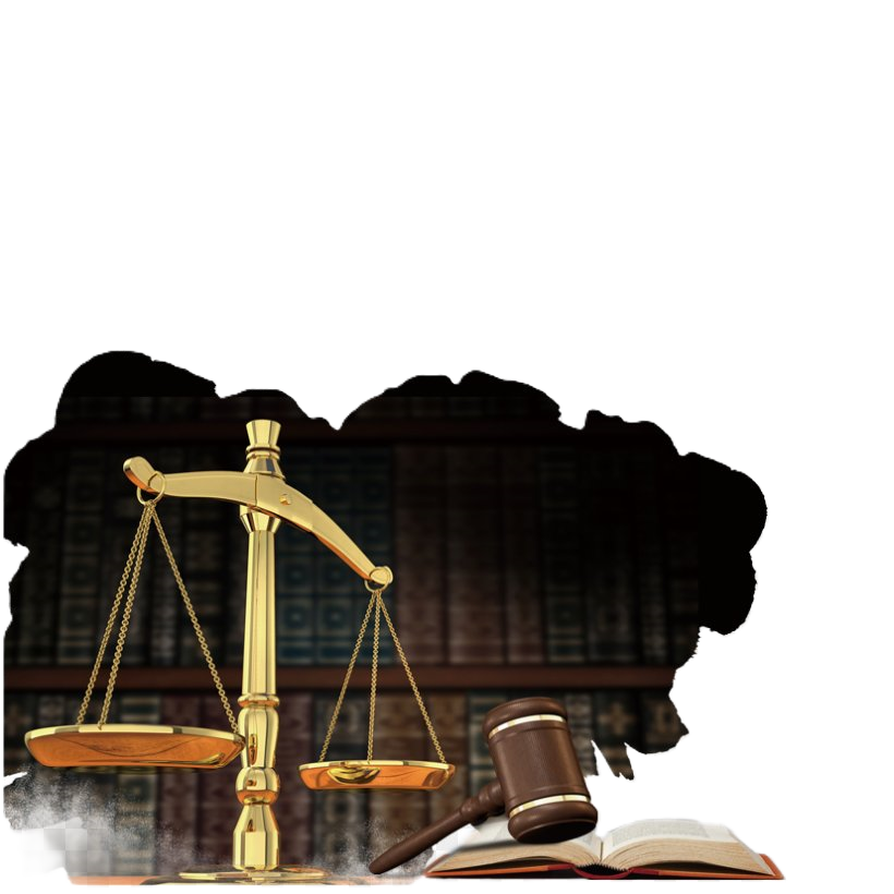 Case categories overview
